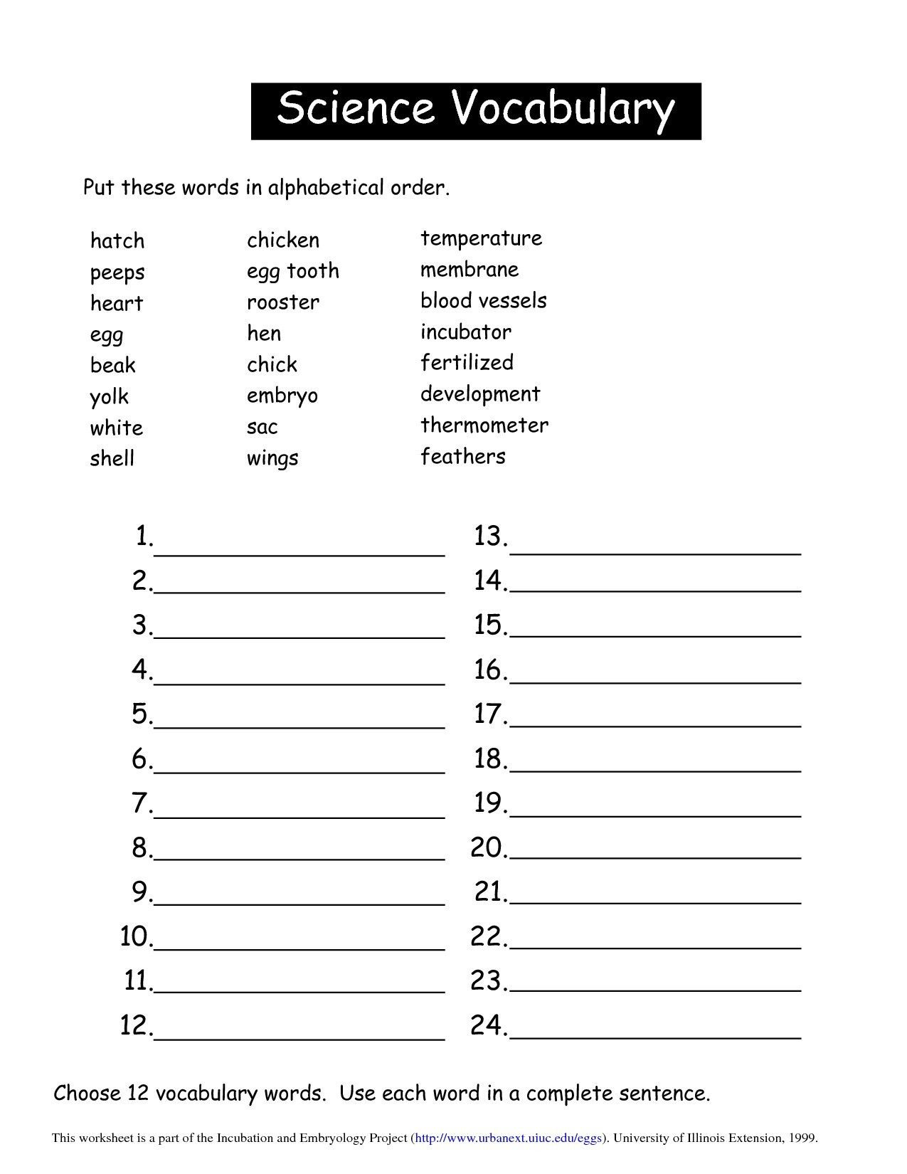 9Th Grade Vocabulary Worksheets Db excel