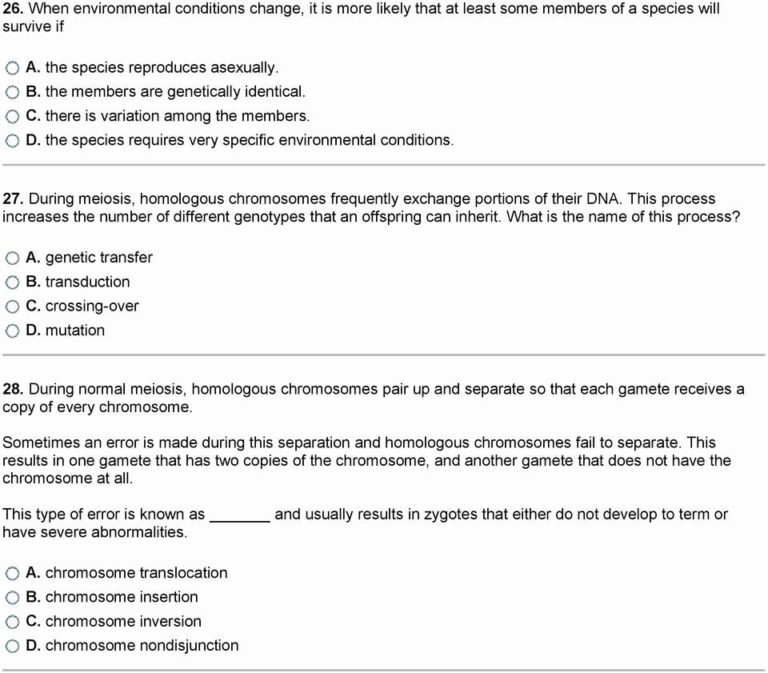 A Quick Switch Worksheet Answers — db-excel.com