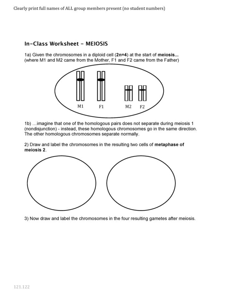 A2 Meiosis Worksheet  Biol 121  Ubc  Studocu