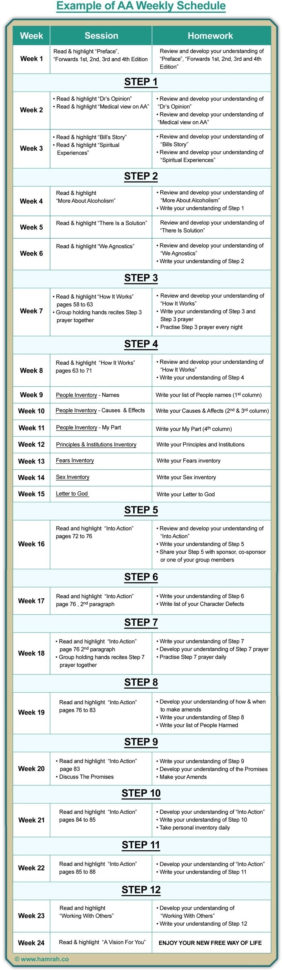 Aa 12 Step Worksheets  Redwoodsmedia