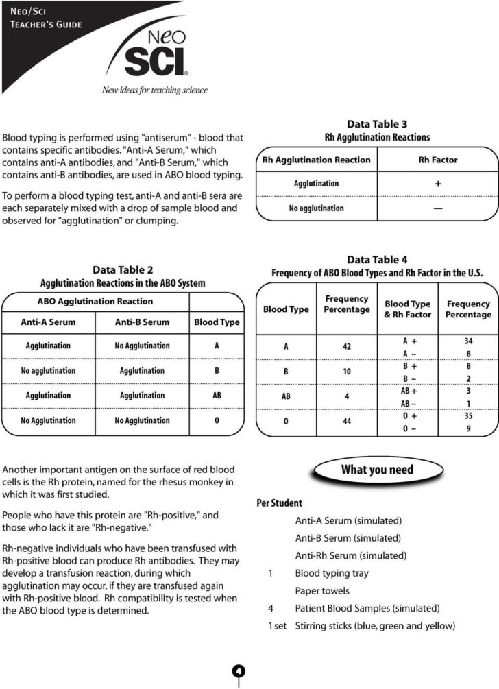 Abo Rh Simulated Blood Typing Worksheet Answers — db-excel.com