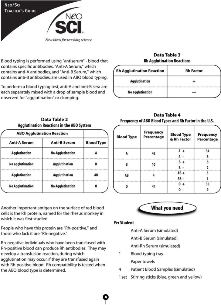 Abo Rh Simulated Blood Typing Worksheet Answers Db excel