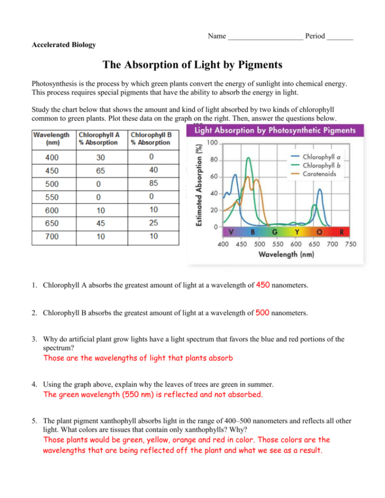 Accbiochlorophyllabwskey