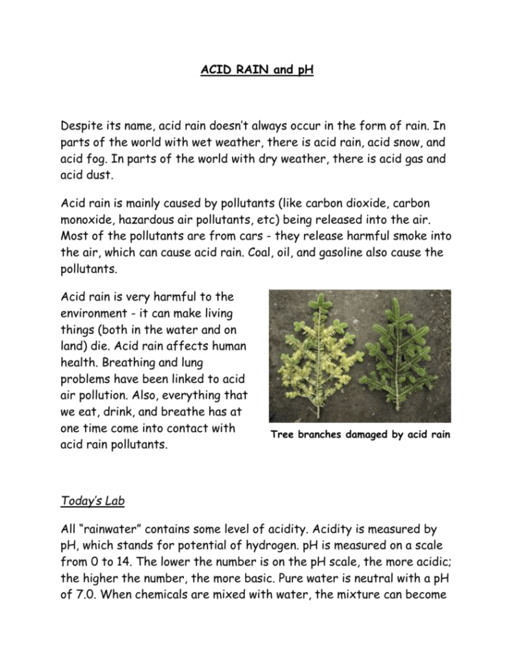 Acid Rain And Ph Worksheet