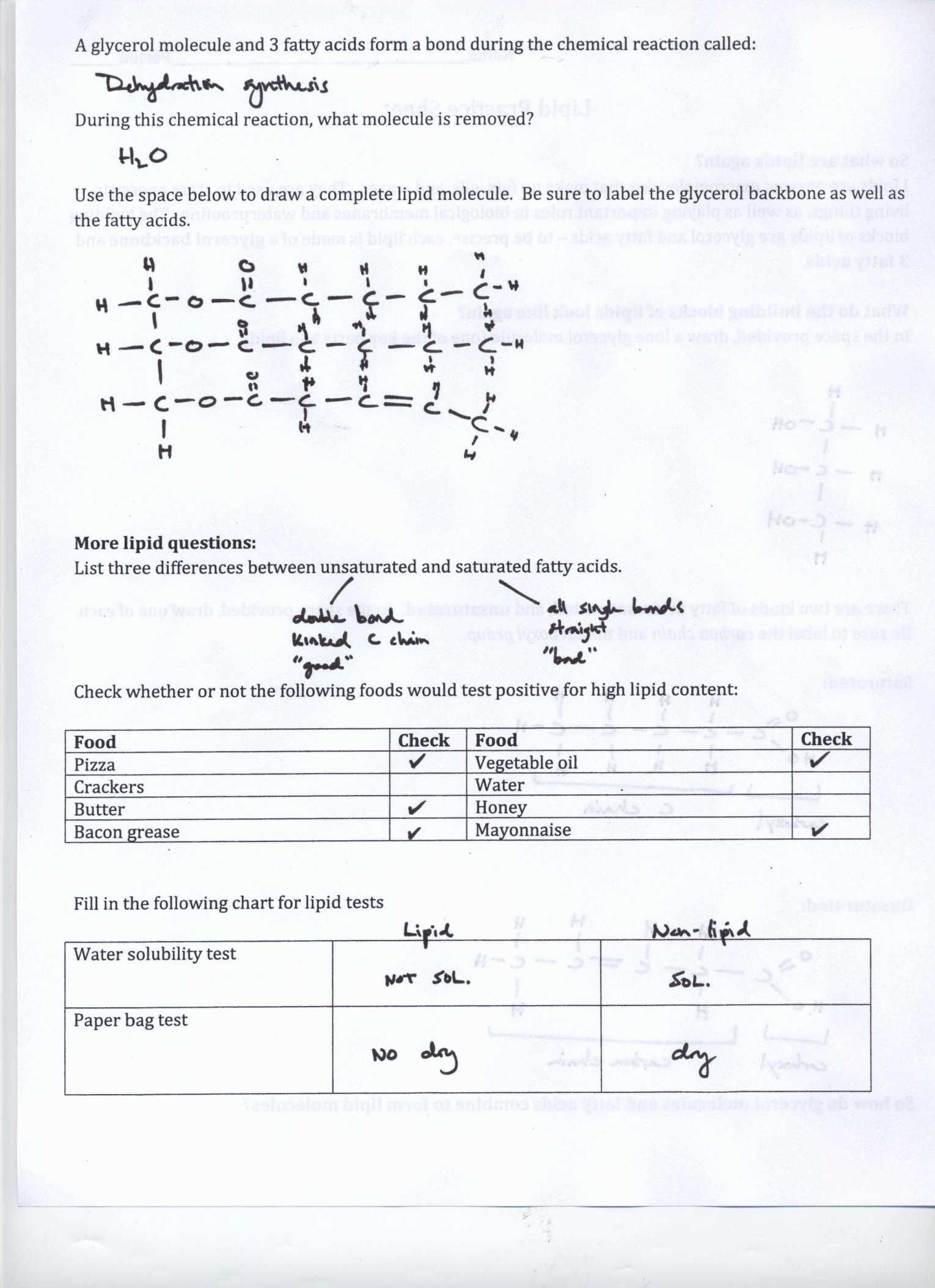 Acids Bases And Ph Worksheet Answers   Worksheet