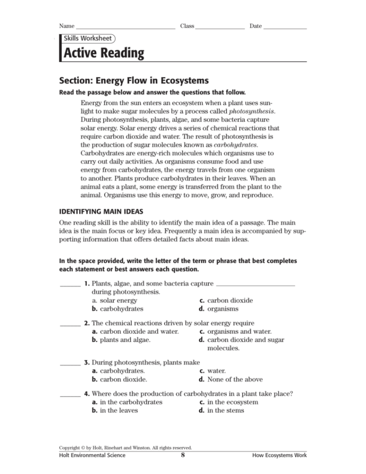 Skills Worksheet Active Reading — db-excel.com