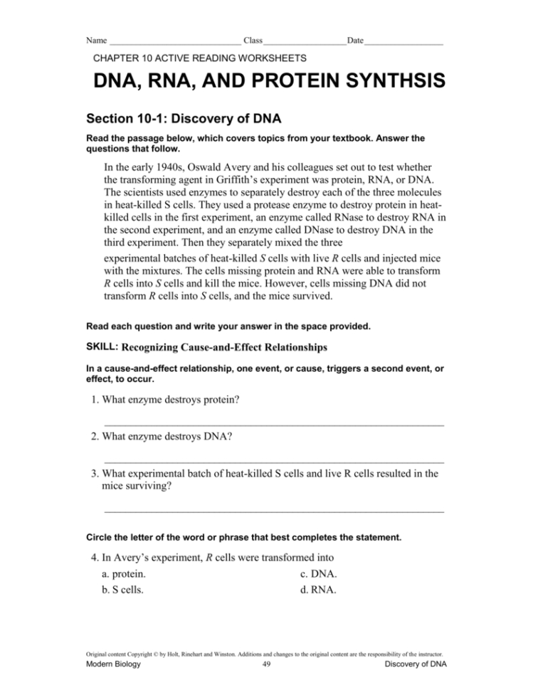 Active Reading Worksheets