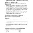 Active Reading Worksheets