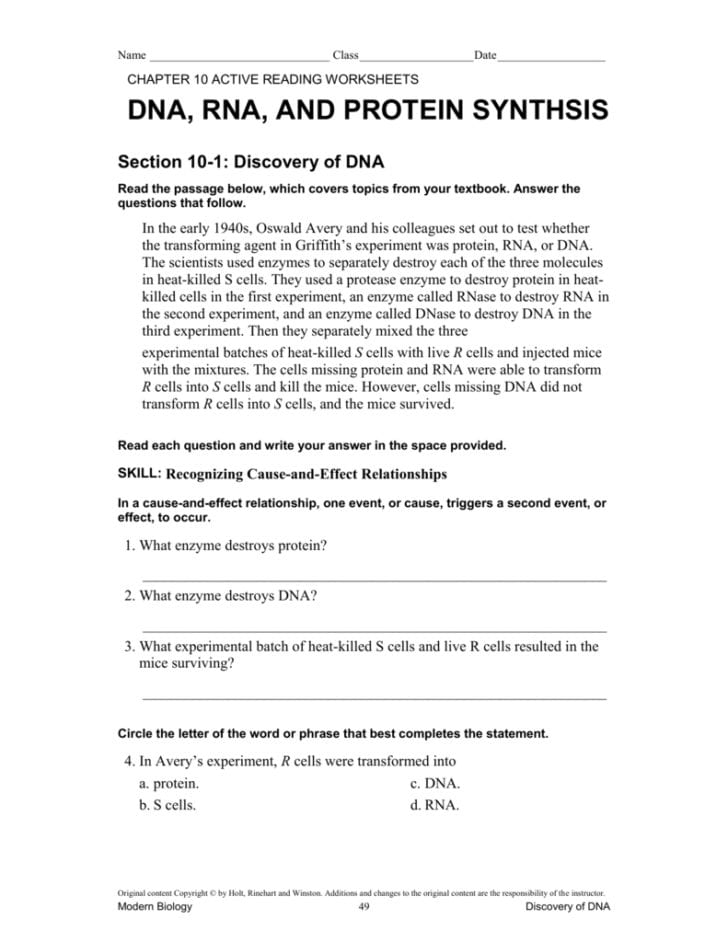 Dna Amp Protein Synthesis Worksheet Answers
