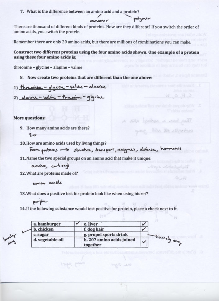 Activity 11 Cell Structure Answer Key  Animal Cell Coloring