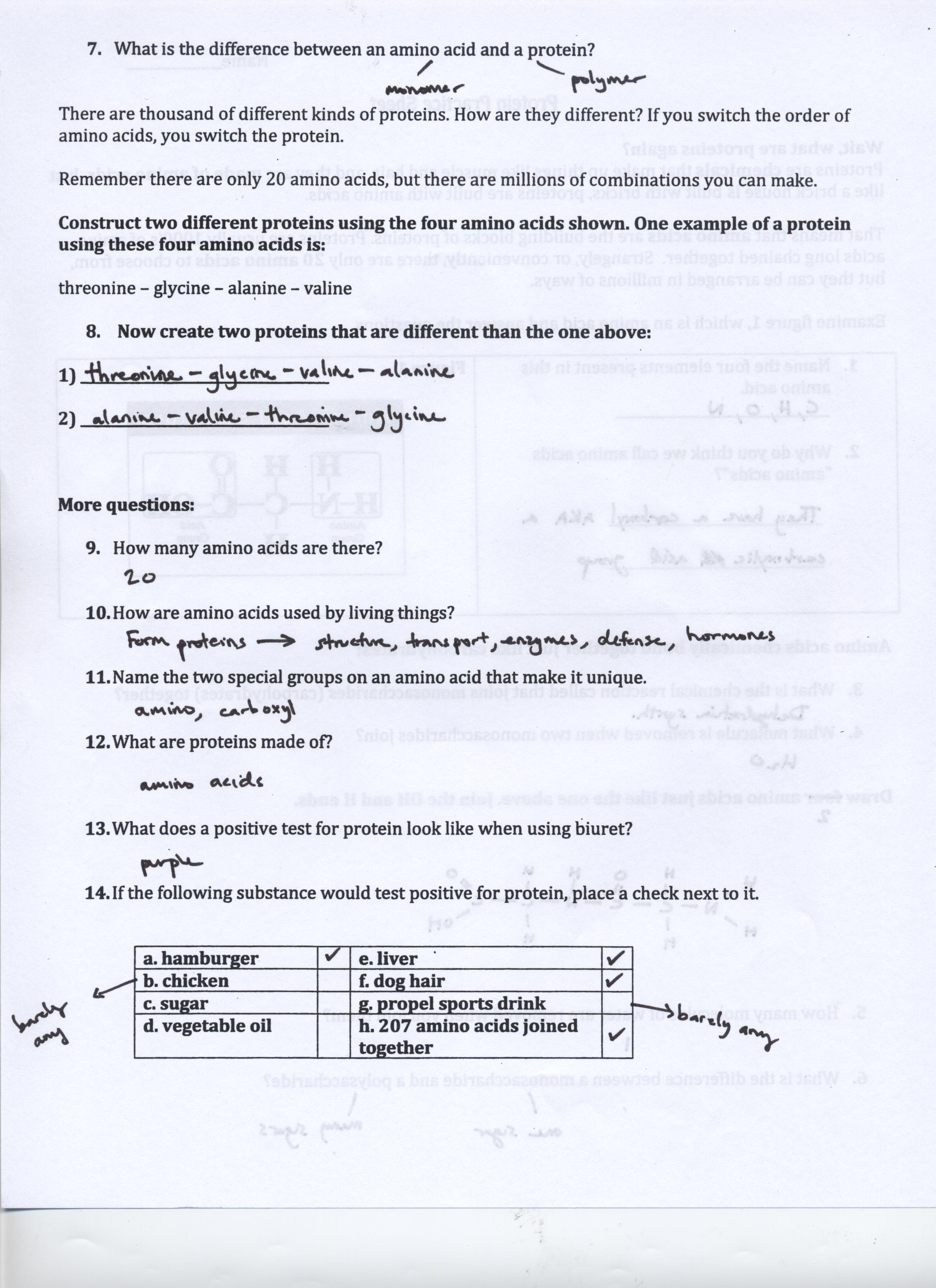 Activity 11 Cell Structure Answer Key Animal Cell Coloring Db excel