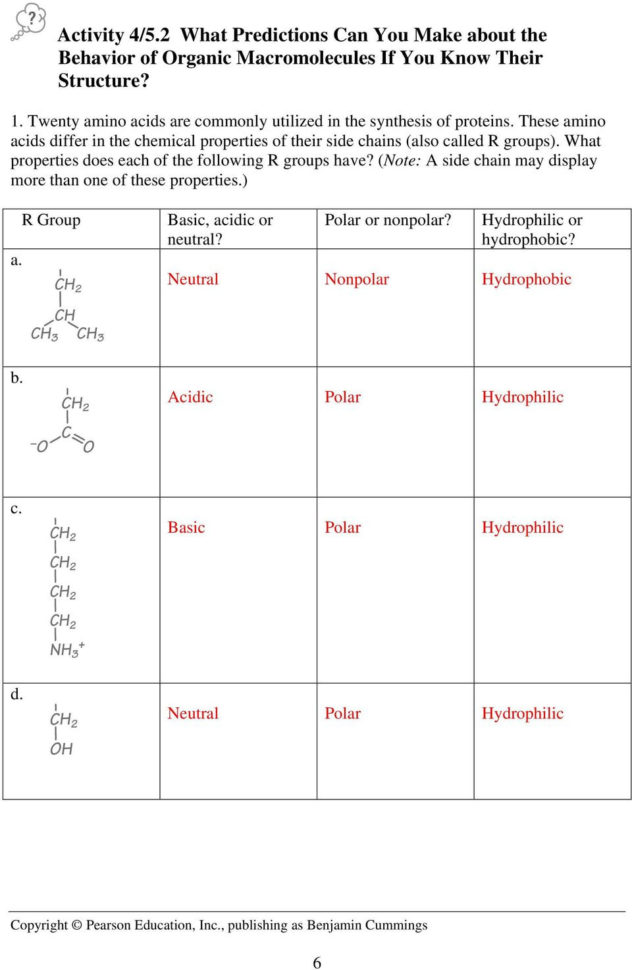 Activity 451 How Can You Identify Organic Macromolecules