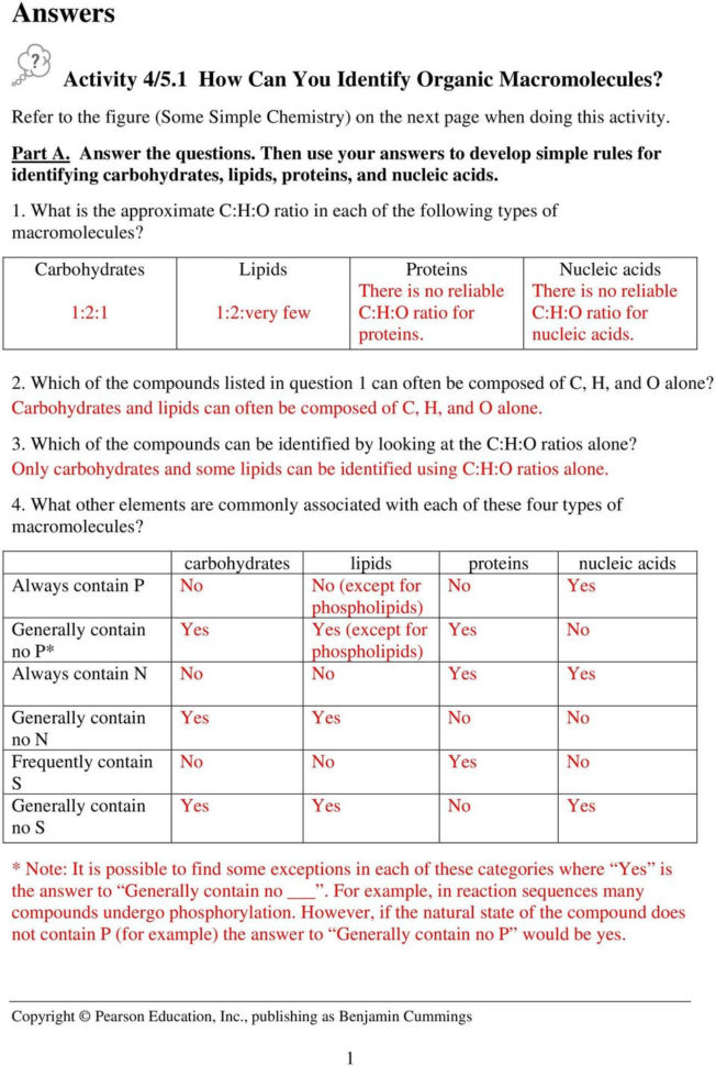 Activity 451 How Can You Identify Organic Macromolecules