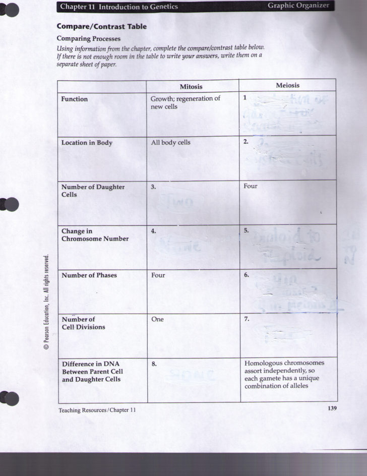 Amoeba Sisters Video Recap Biomolecules Worksheet Answers