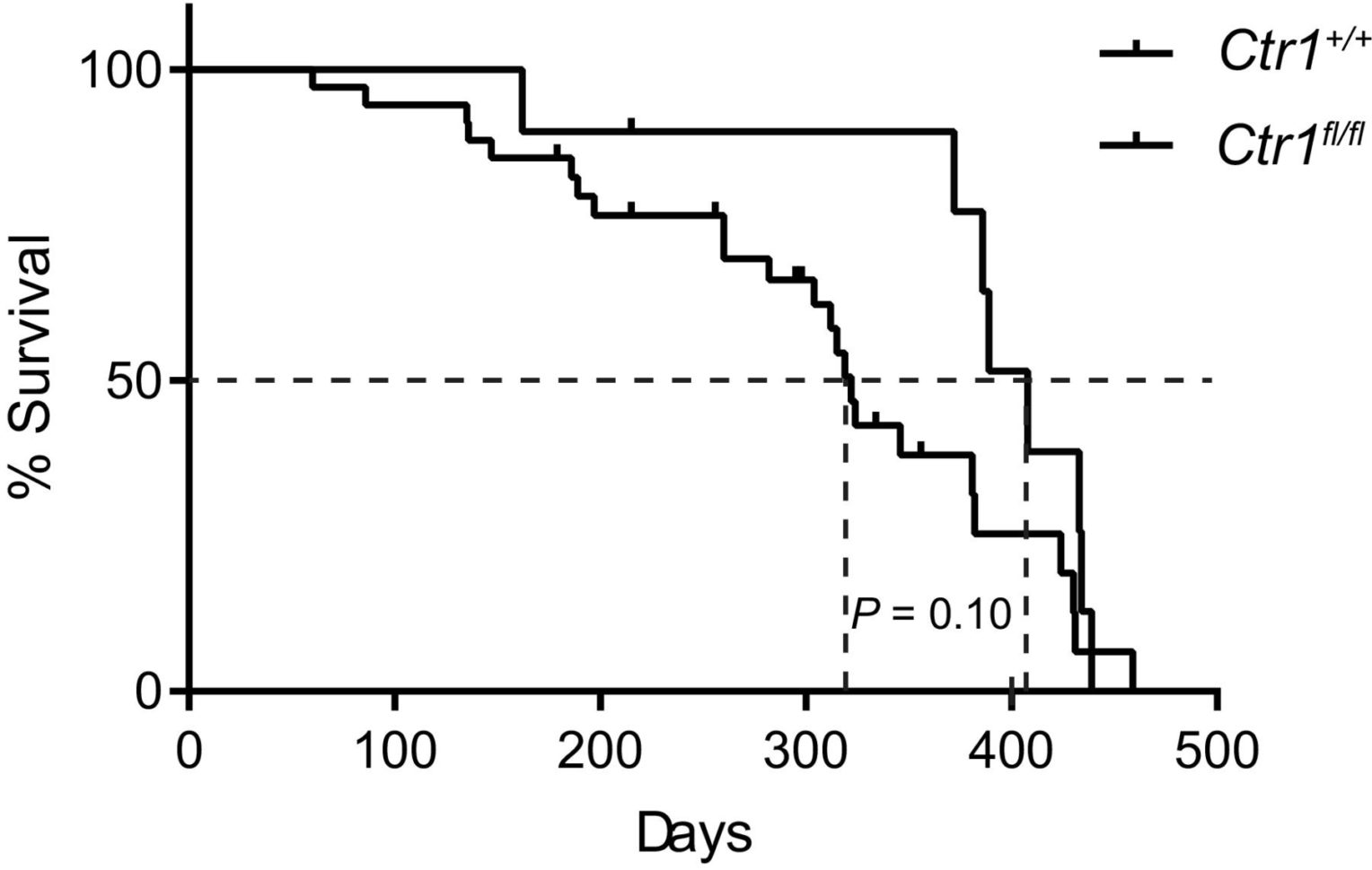 Addition Worksheet Grade Two Math Word Problems Addition And