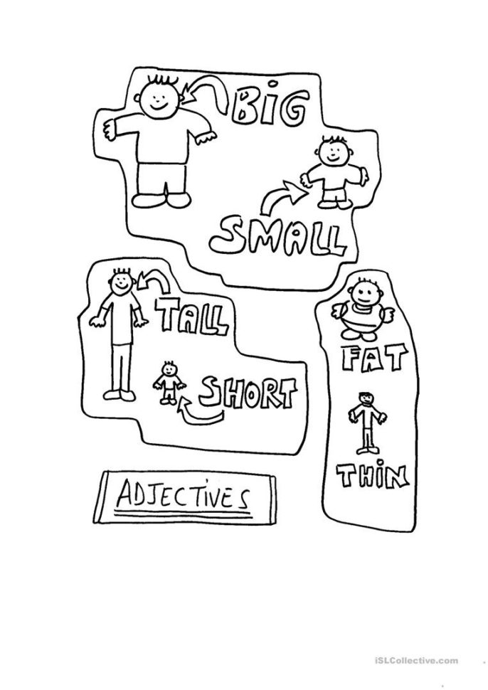 Adjectives Bigsmall Shorttall Fatthin  English Esl