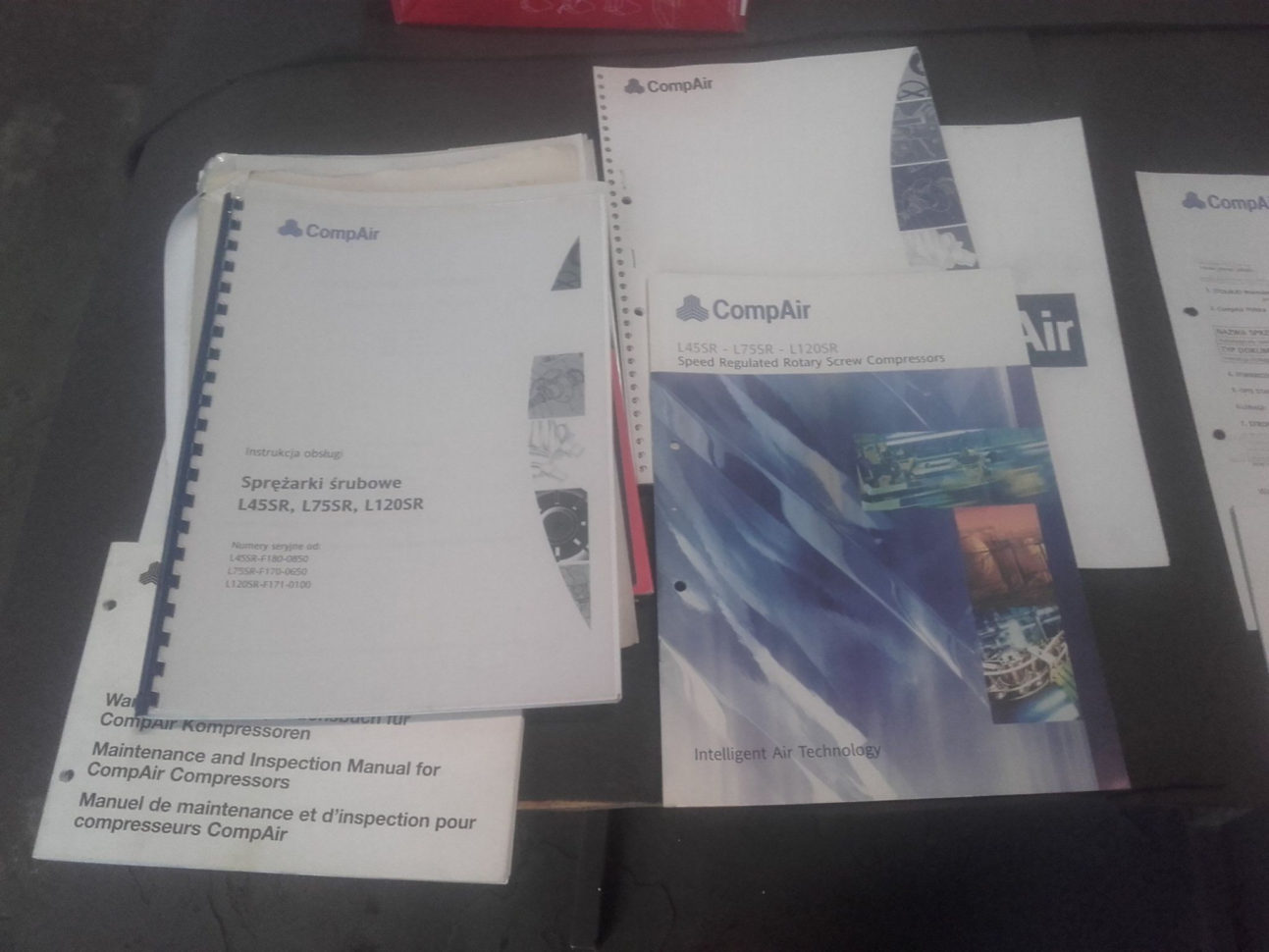 Afterlife The Strange Science Of Decay Worksheet Answer Key