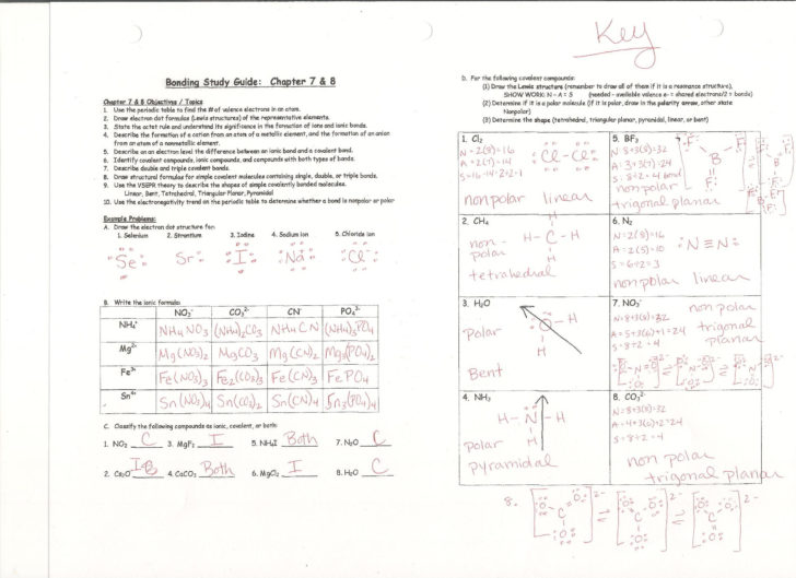 Build An Atom Simulation Worksheet Answers