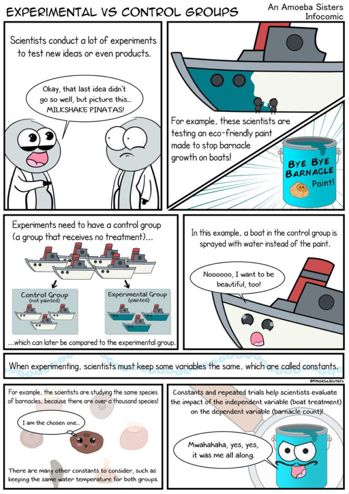 Amoeba Sisters Including   Disun