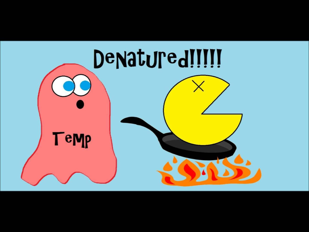 Amoeba Sisters Video Recap Biomolecules Worksheet Answers db excel com Amoeba Sisters Video Recap Biomolecules Worksheet Answers db excel com