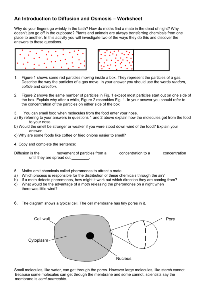 Osmosis Worksheet Answers