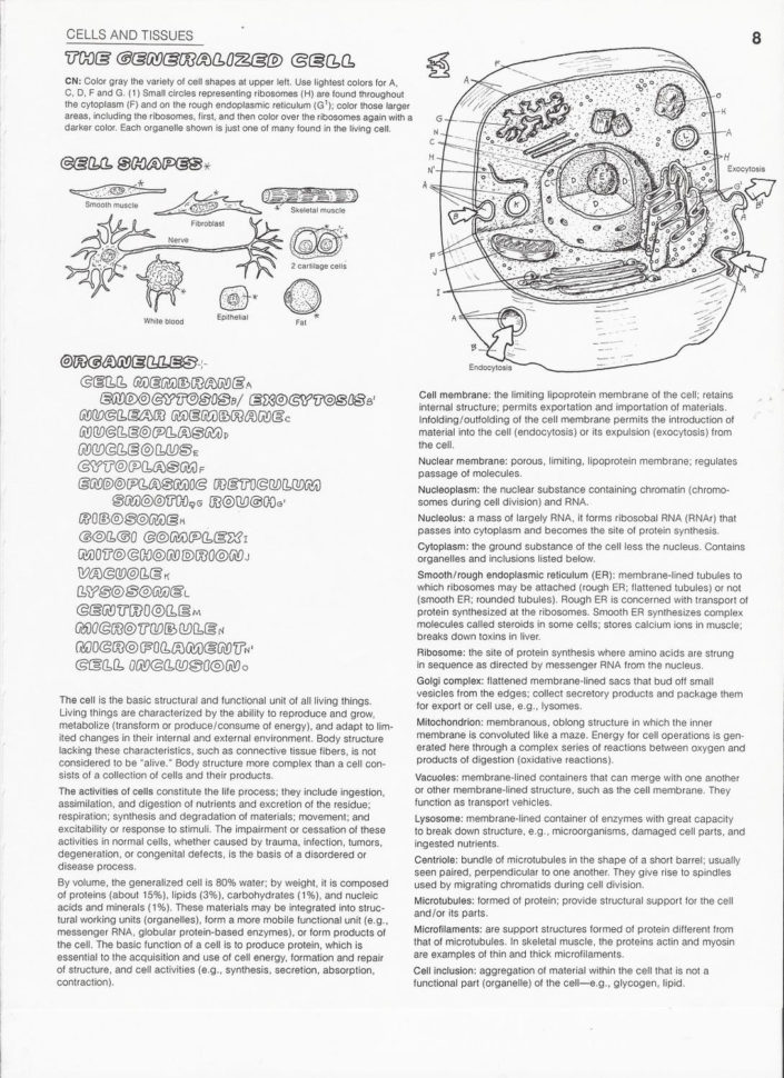 Ana 102  Cells  Tissuejanus De Lange