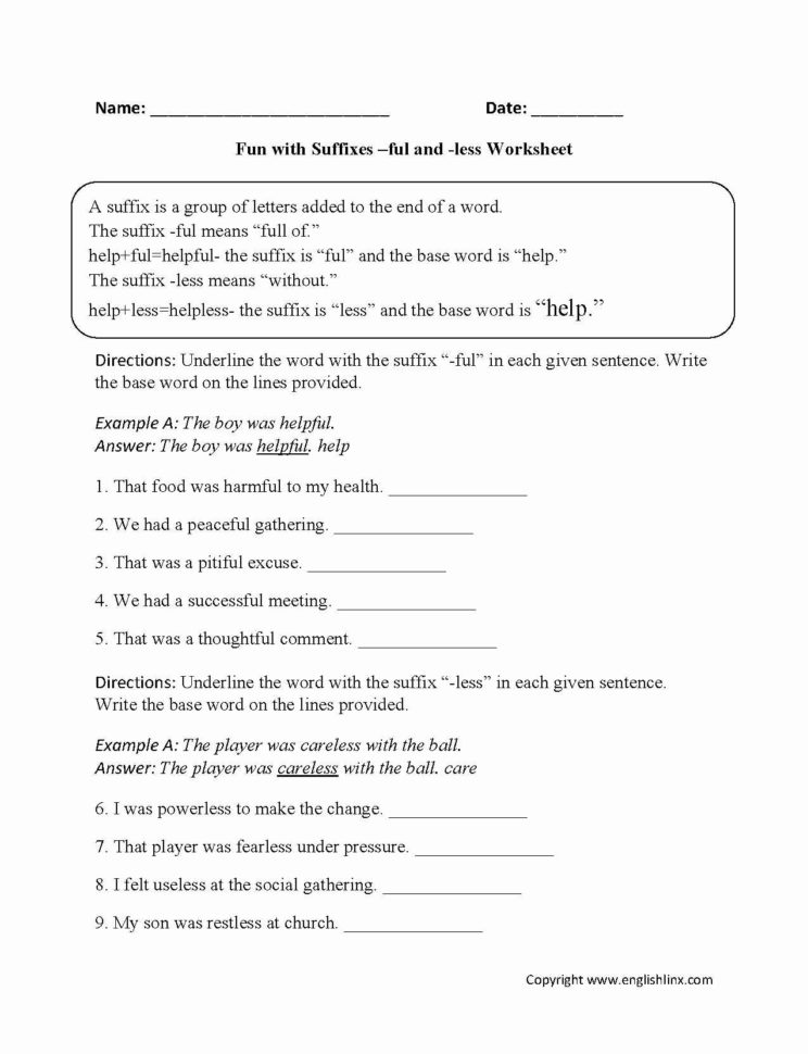 Anatomy And Physiology Worksheets For College