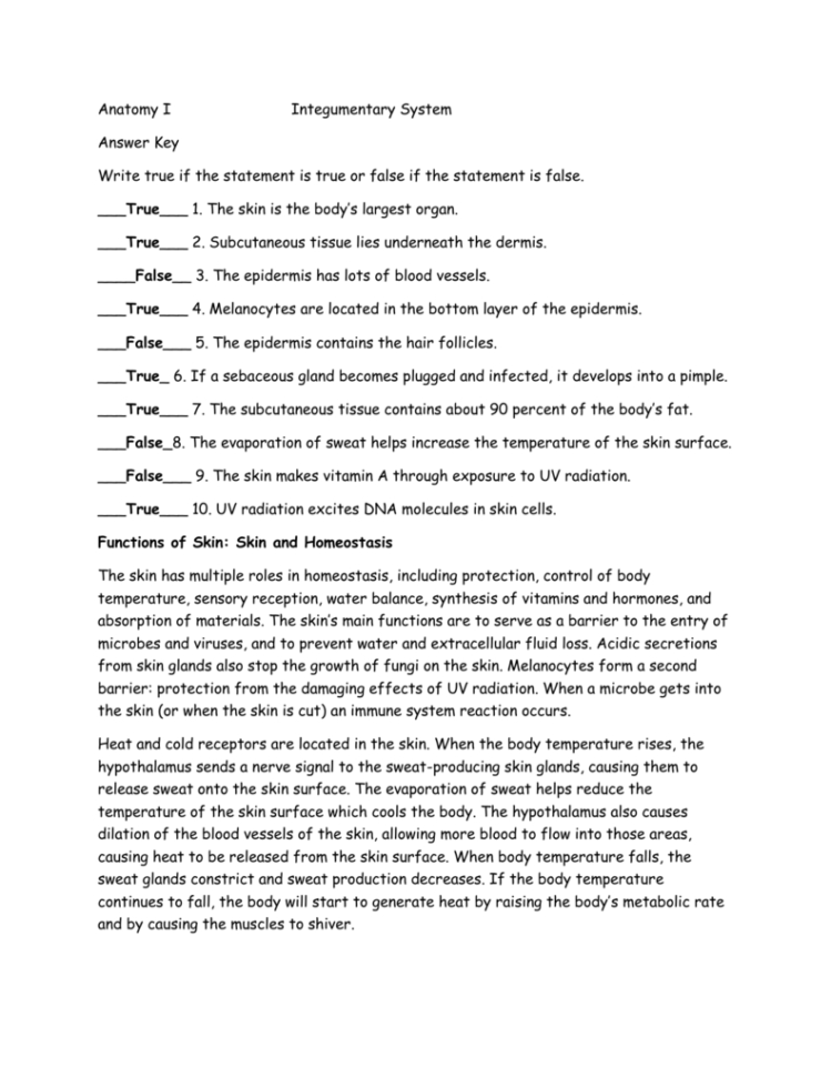 Anatomy I Integumentary System Answer Key Write True If The