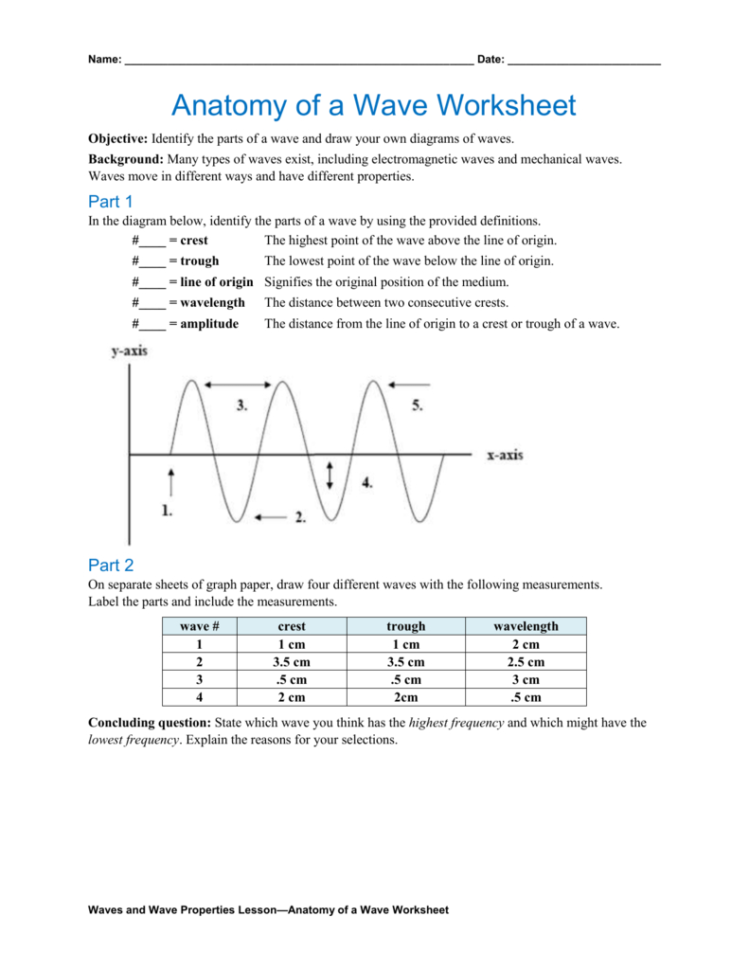 Anatomy Of A Ve Worksheet Anatomy Of A Ve Worksheet