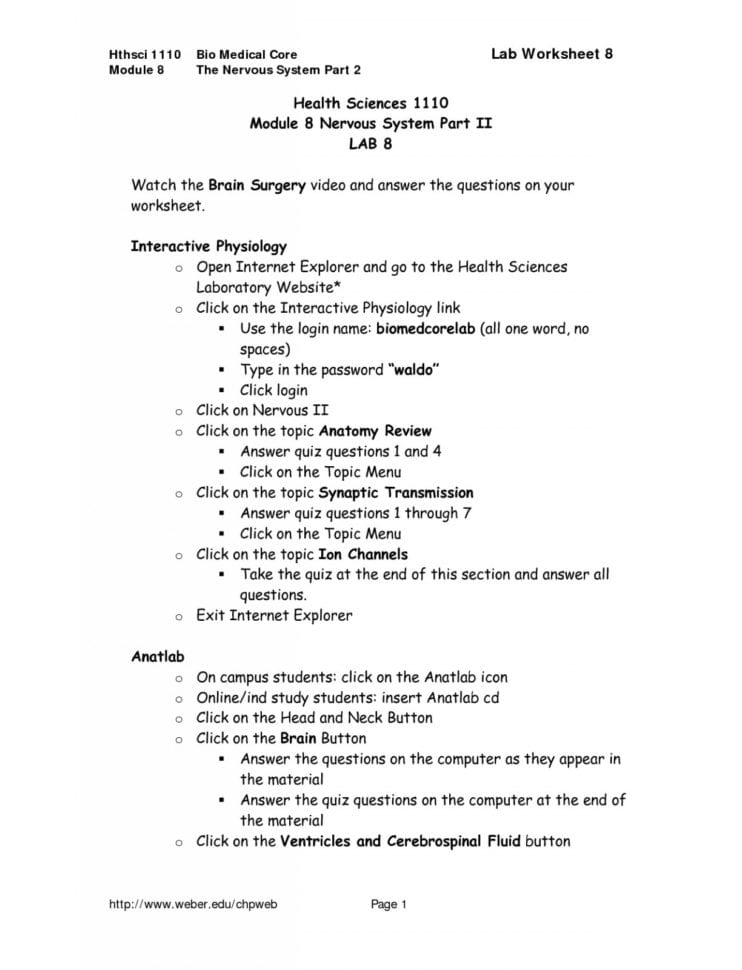 Anatomy Sheep Brain Lab Brain Lab Worksheet Answer Key