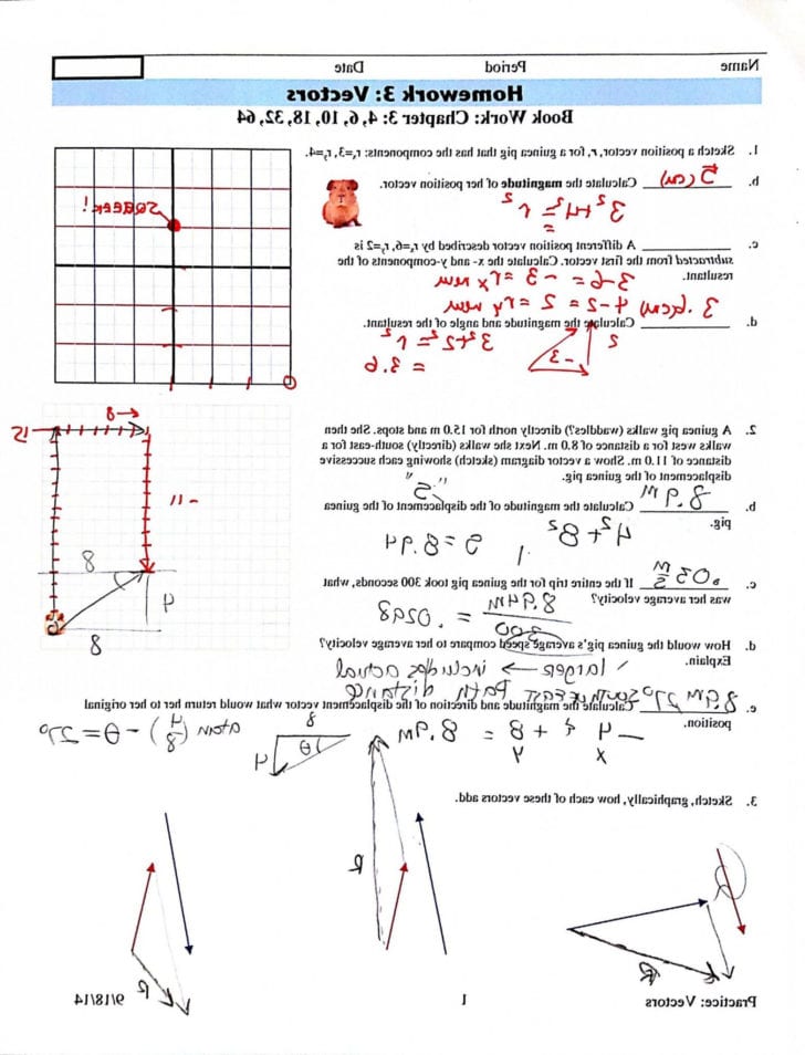 angles-of-elevation-and-depression-word-problems-worksheet