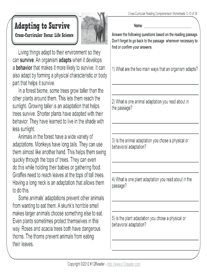 Animal Adaptation Worksheets  Fill Online Printable