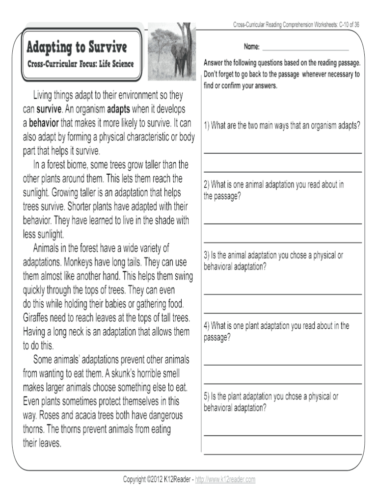 Animal Adaptations Worksheets — db-excel.com