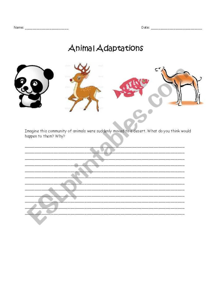 Animal Adaptations  Esl Worksheetemanorabi