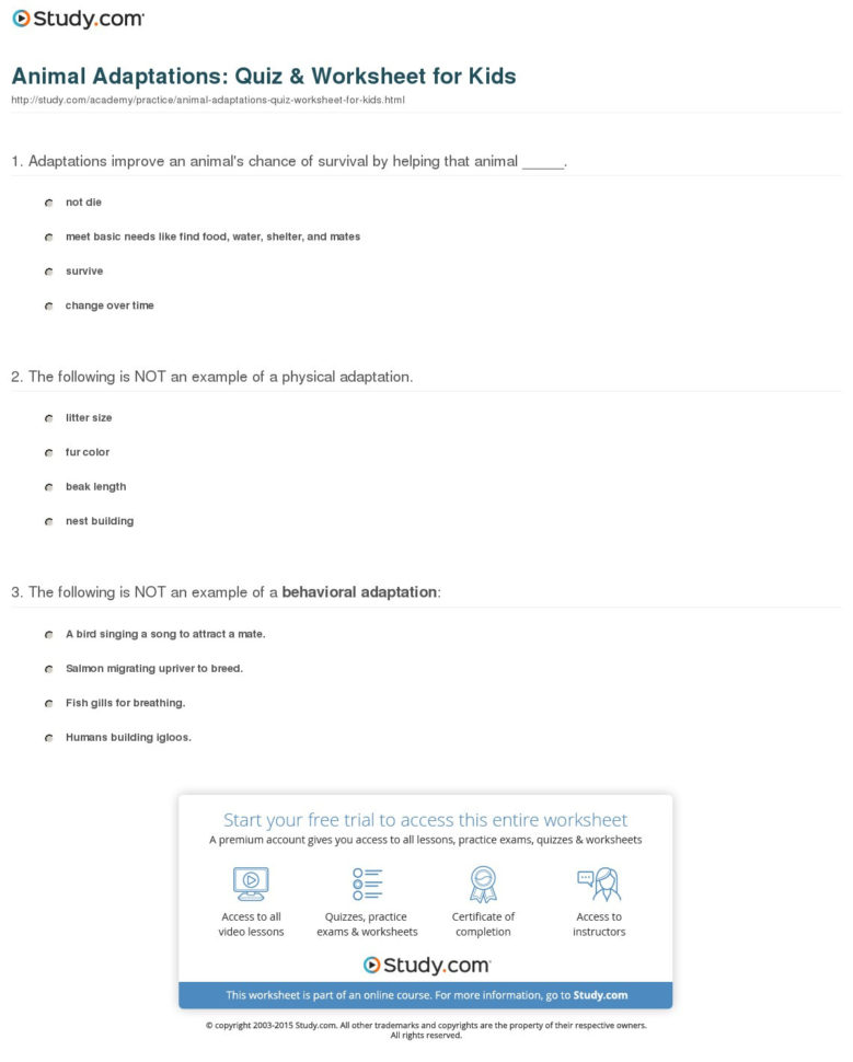 Animal Adaptations Quiz  Worksheet For Kids  Study