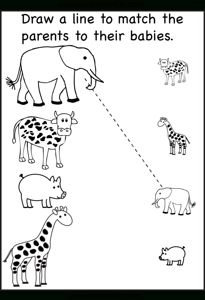 Animal Baby Parent21  Crafts And Worksheets For Preschool