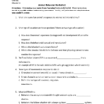 Animal Behavior Worksheet
