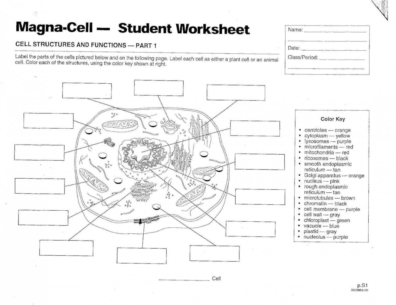 Animal Cell Coloring Worksheet Answers Db excel