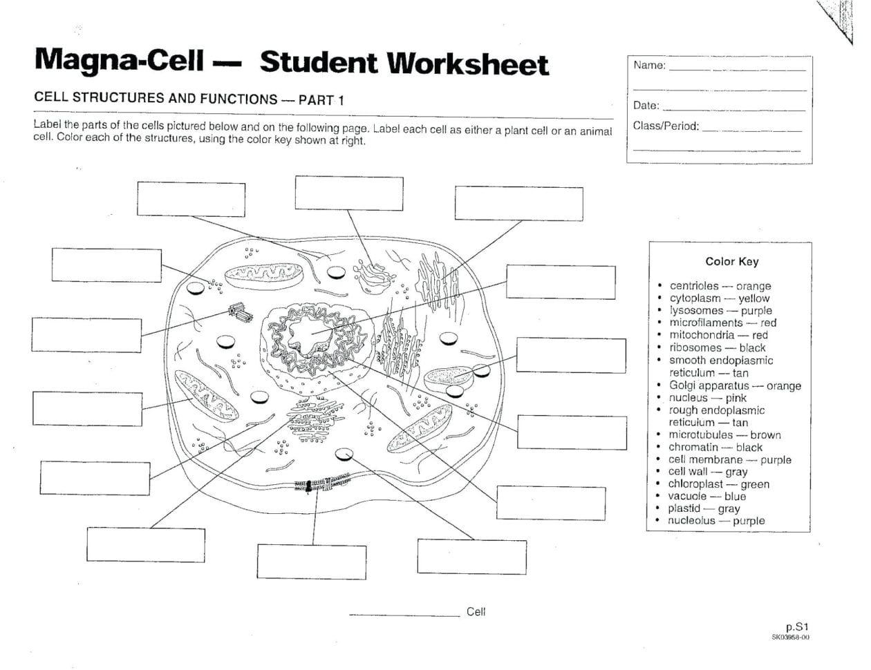 Animal Cell Printable – Prolinesheetco