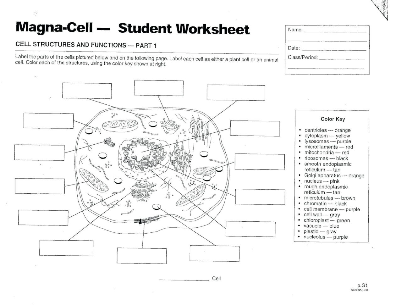 Animal Cell Printable – Prolinesheetco