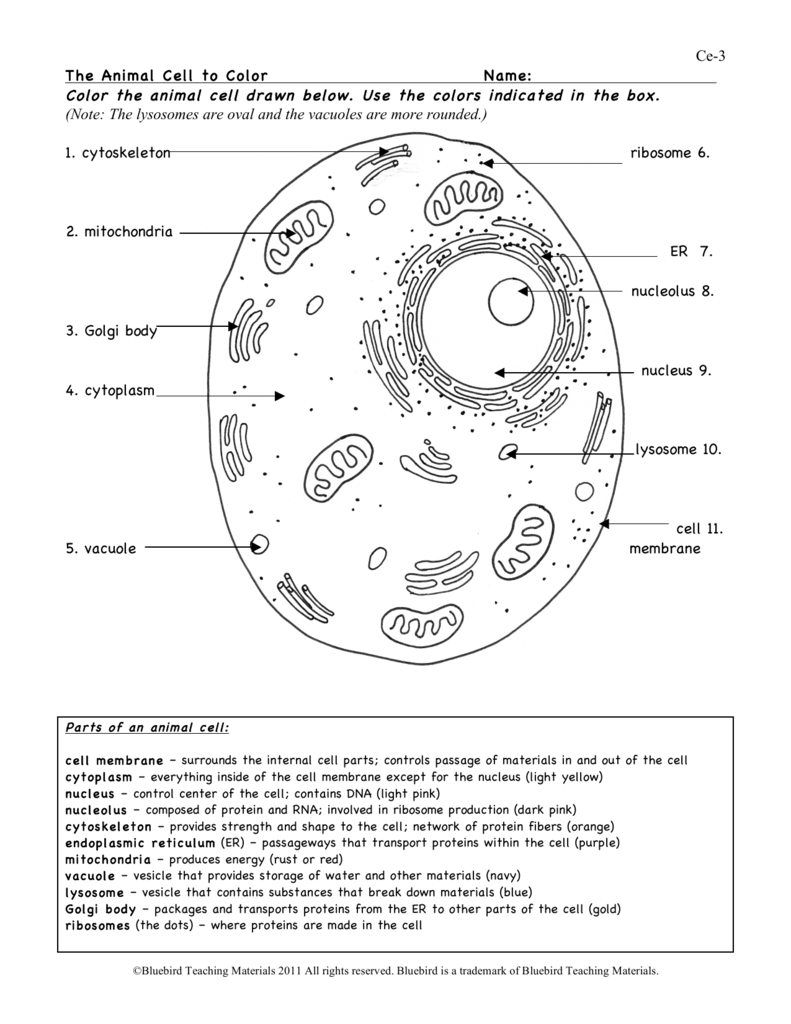 Parts Of An Animal Cell Superstar Worksheets Animal Cell Labeling Printable Worksheet 602 X 