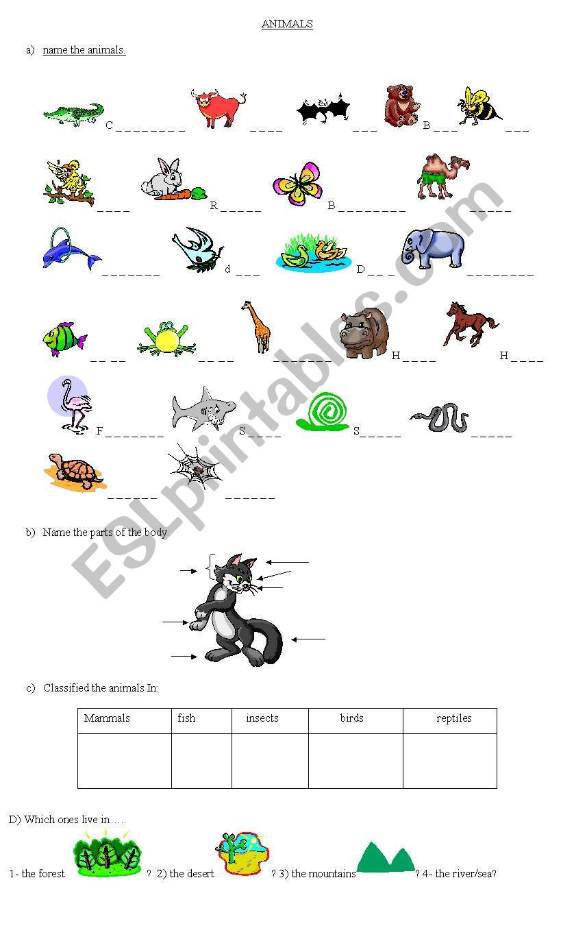 Animal  Classification  Esl Worksheetcositadulce