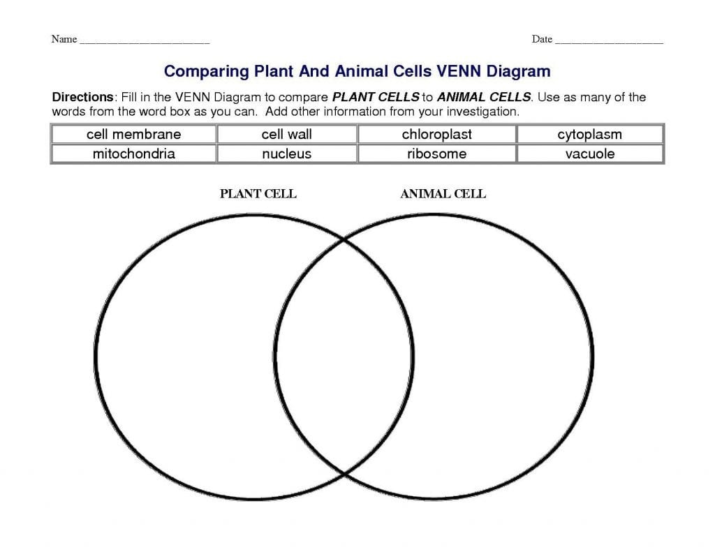 Animal Diagram Worksheets And Plant Cell Labeling Worksheet