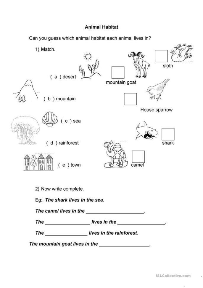Animal Habitat  English Esl Worksheets