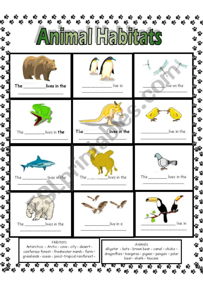 Animal Habitats  Esl Worksheetanna P