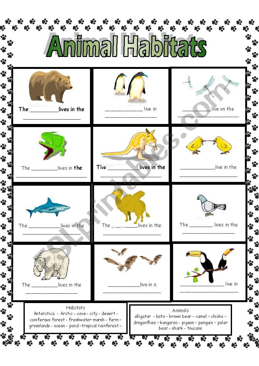 animal habitats worksheets db excelcom