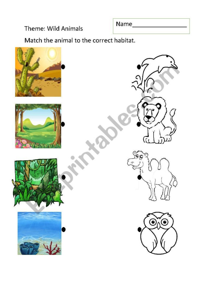 Animal Habitats  Esl Worksheetjohnnym