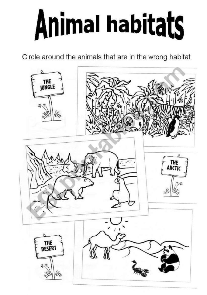 Animal Habitats  Esl Worksheetvirginiajimenez