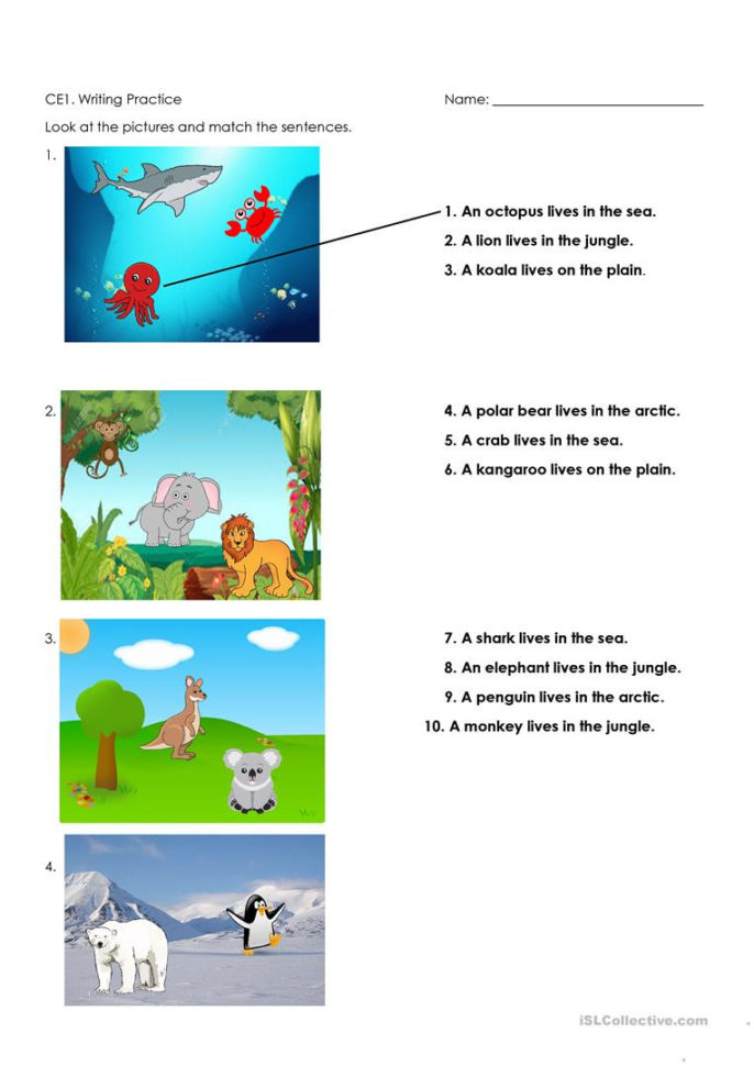 Animals And Habitats  English Esl Worksheets