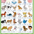 Animals And Their Babies  Interactive Worksheet
